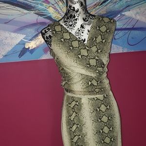 Cache snake/python print skirt and top set